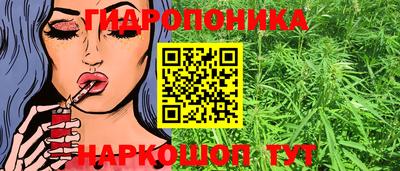 apvp Севастополь