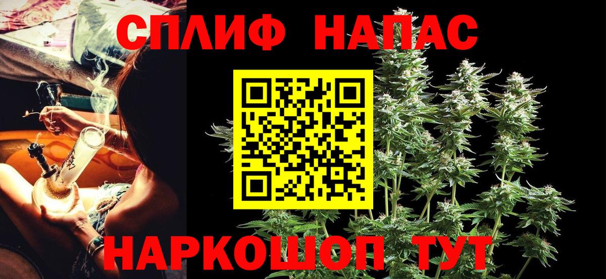 Пугачёв  Каннабис сатива  Вход с VPN  Шишки марихуана VHQ 